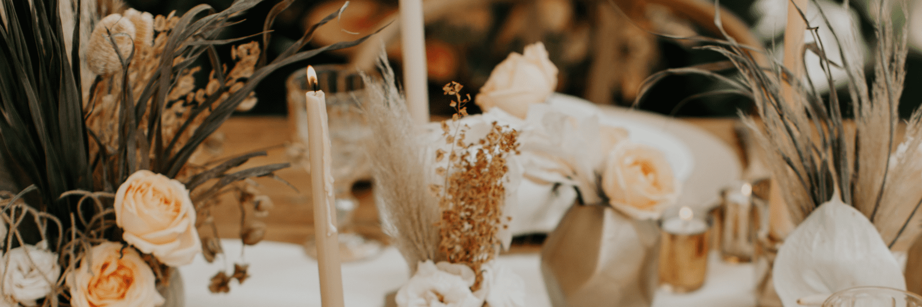 Indian Destination Wedding 
